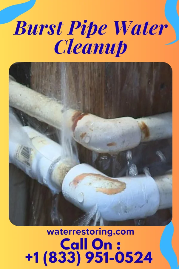 Burst Pipe Water Cleanup in Homeacre-Lyndora, PA