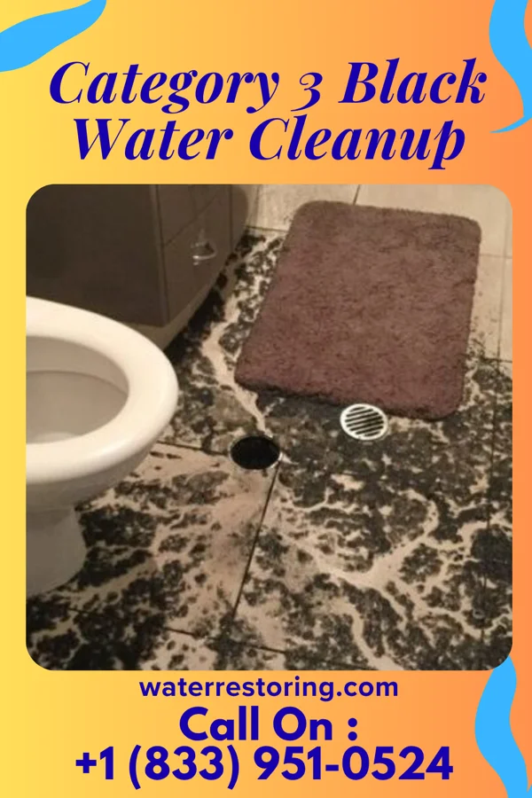 Category 3 Black Water Cleanup in Homeacre-Lyndora, PA