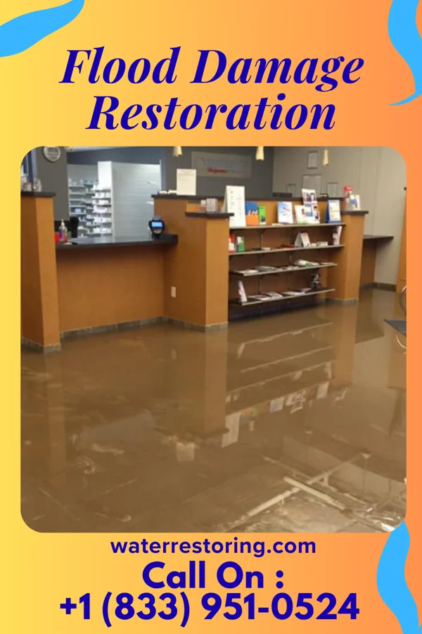 Flood Damage Restoration in Homeacre-Lyndora, PA