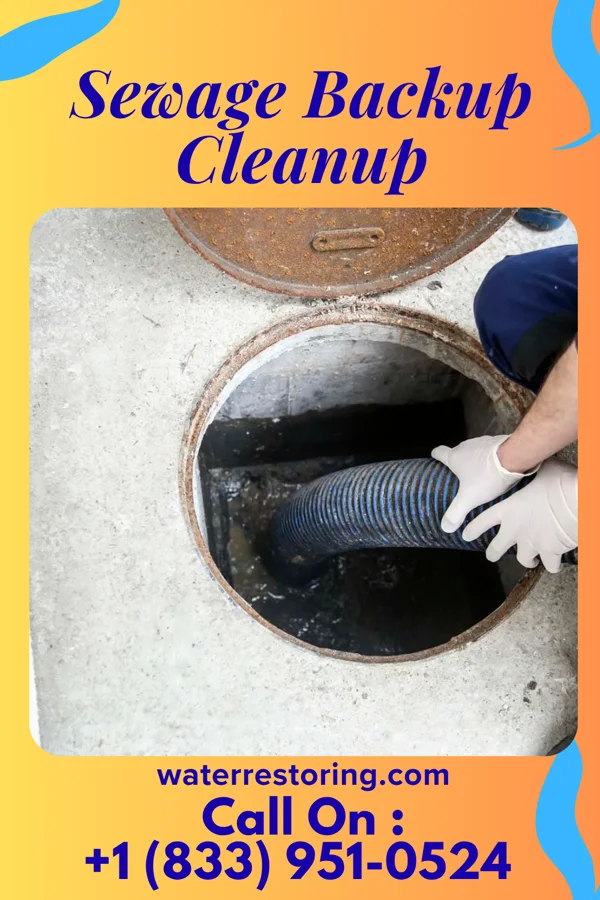 Sewage Backup Cleanup in Homeacre-Lyndora, PA