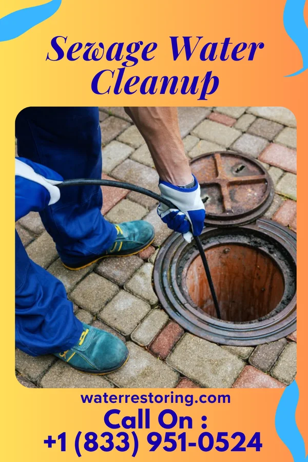 Sewage Water Cleanup in Homeacre-Lyndora, PA