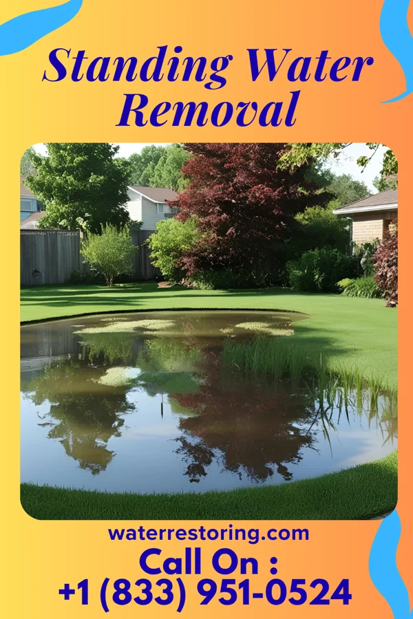 Standing Water Removal in Homeacre-Lyndora, PA